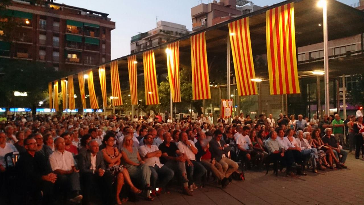 Public i senyeres.jpg